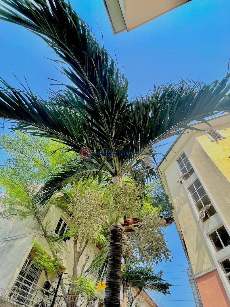 4 bedroom Townhouse For Sale Oniru Victoria Island Lagos - 0