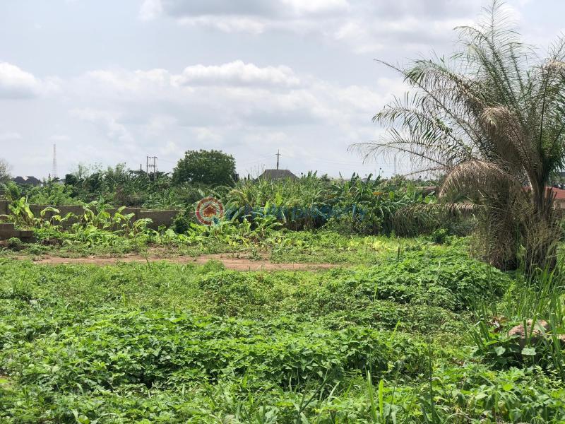 Residential Land For Sale Engr Adeleke Street, Alao Akala Way Akobo Ibadan Oyo - 1