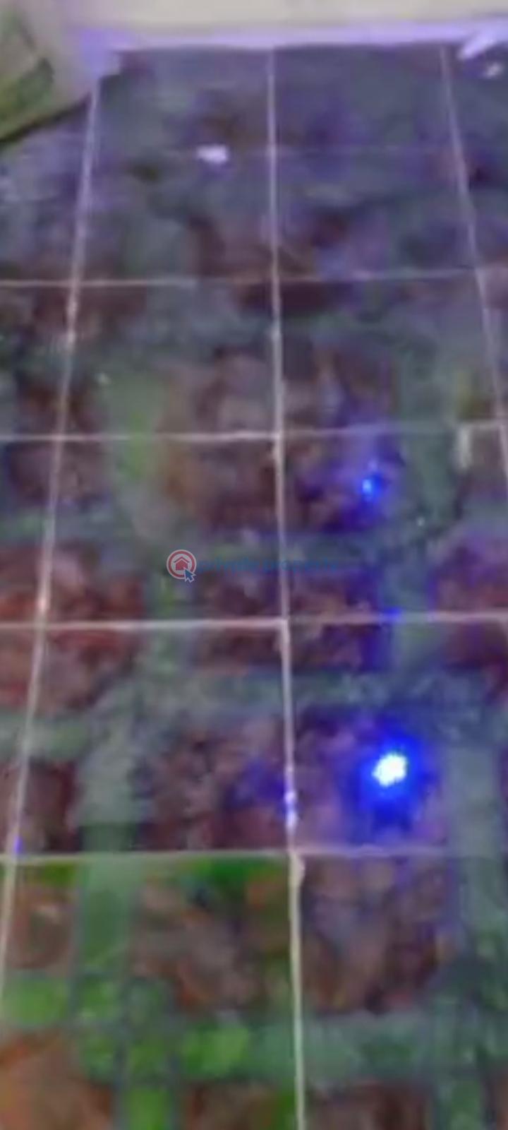 2 bedroom Self Contain For Rent Off Lanre Bus Stop Isheri Igando Lasu Rd Pipeline Alimosho Lagos - 2