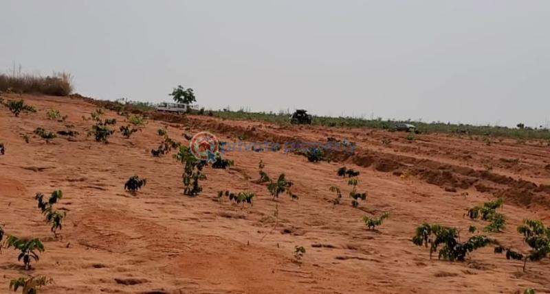 Land - 0 Residential Land For Sale Estate Abuja Phase 1  - 0