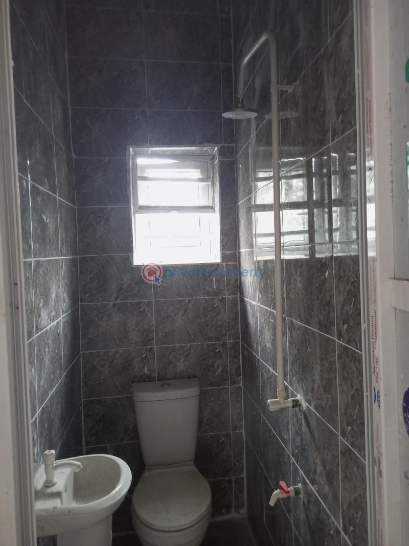 1 bedroom Flat & Apartment For Rent Canoe Axis Oke-afa Isolo Lagos - 4