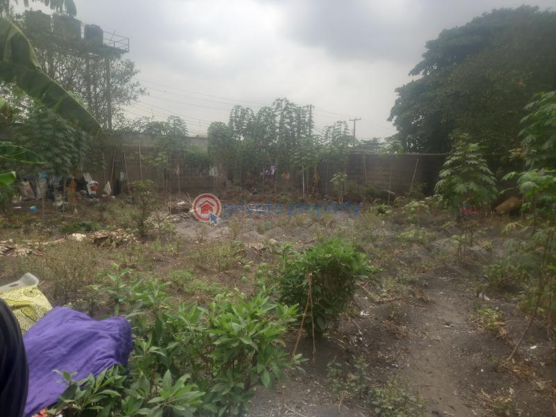 Residential Land For Sale Oko Oba Gra Schene 1 Estate Extension Oko Oba Agege Lagos - 1