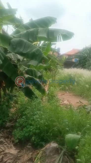 House For Sale New Oko Oba Abule Egba Ifako Ijaiye Abule Egba Lagos - 8