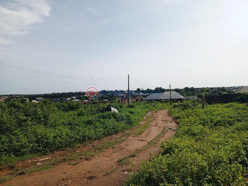 Land For Sale Ayegun Oleyo Akala Express Ibadan Oyo - 3