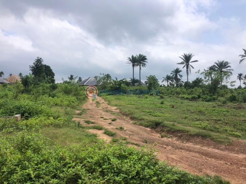 Residential Land For Sale Moniya Ibadan Oyo - 6