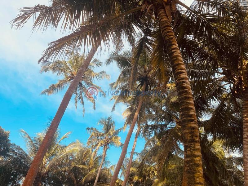 Commercial Land For Sale La Campaigne Tropicana Ibeju-Lekki Lagos - 1