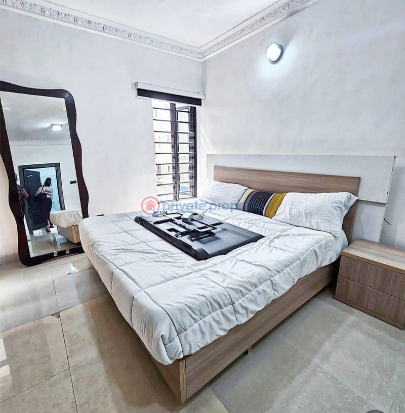 2 bedroom Flat & Apartment For Rent Old Ikoyi Lagos - 4
