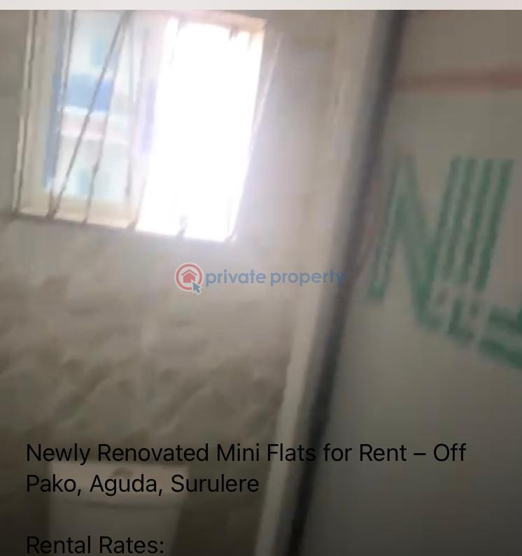 1 bedroom Flat & Apartment For Rent Surulere Lagos - 8