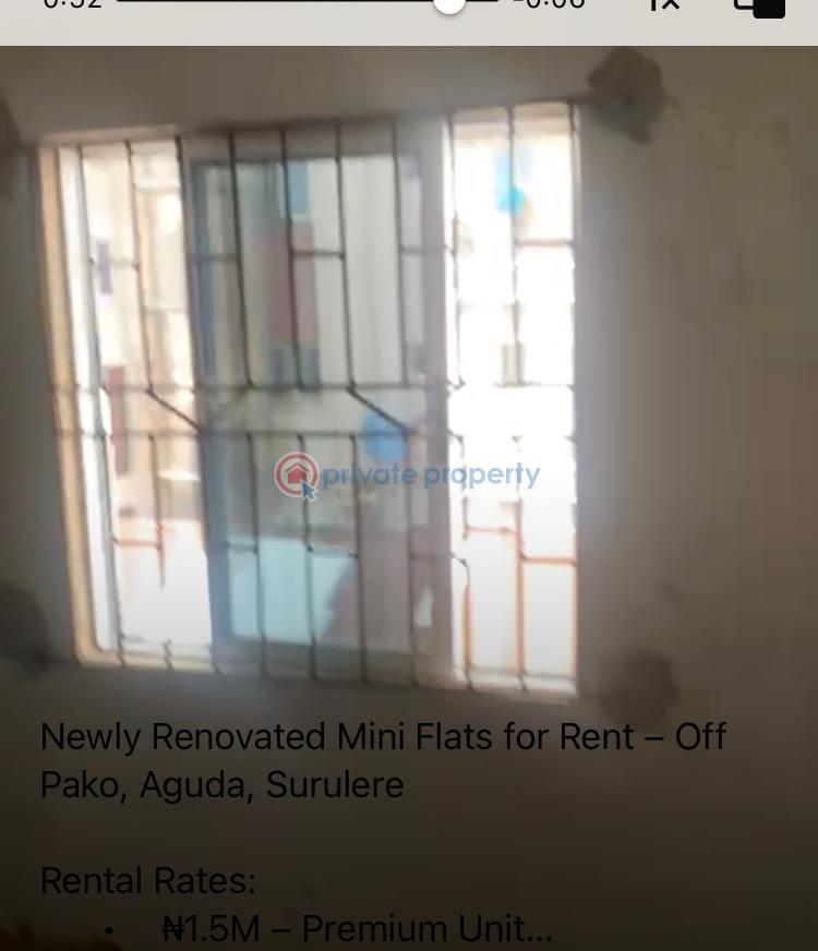 1 bedroom Flat & Apartment For Rent Surulere Lagos - 7