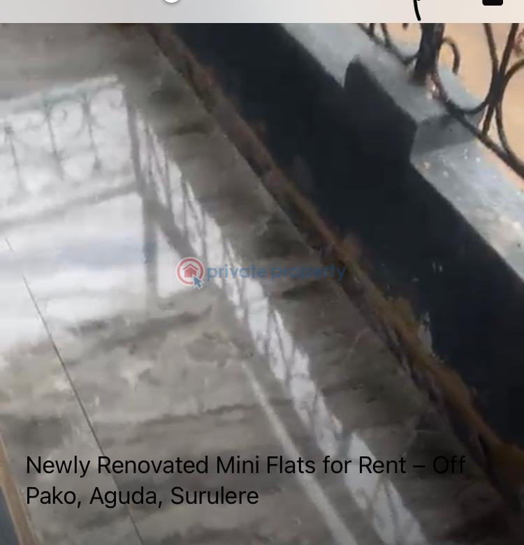 1 bedroom Flat & Apartment For Rent Surulere Lagos - 4