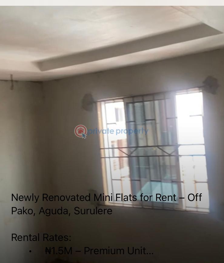1 bedroom Flat & Apartment For Rent Surulere Lagos - 1