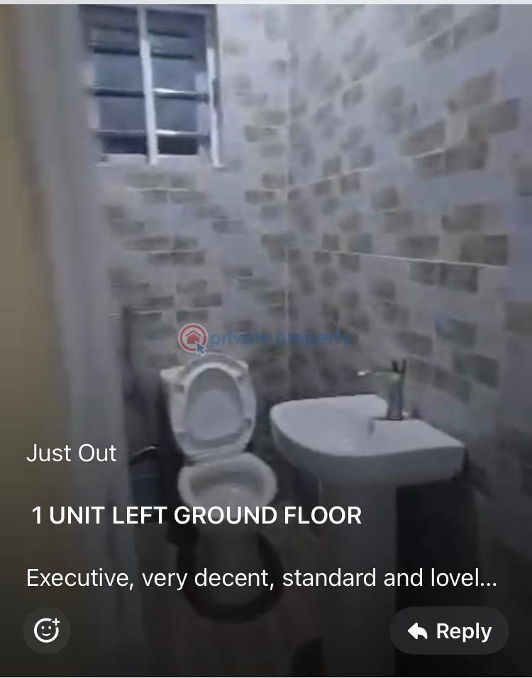Topnotch 2 bedroom flat - 13 2 bedroom House For Rent Off Pedro Shomolu Shomolu Lagos - 13