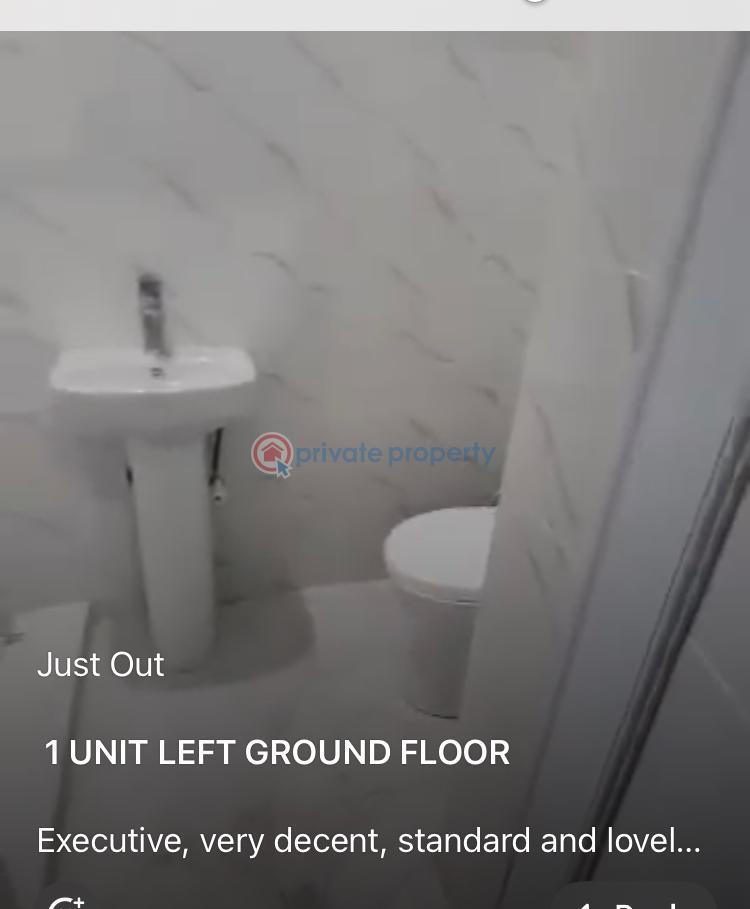 Topnotch 2 bedroom flat - 4 2 bedroom House For Rent Off Pedro Shomolu Shomolu Lagos - 4