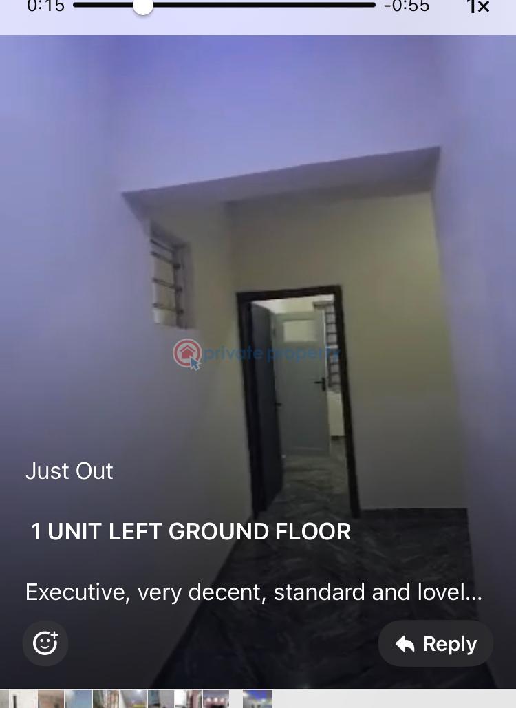 Topnotch 2 bedroom flat - 19 2 bedroom House For Rent Off Pedro Shomolu Shomolu Lagos - 19