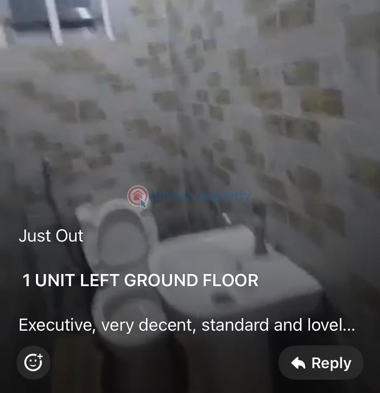 Topnotch 2 bedroom flat - 14 2 bedroom House For Rent Off Pedro Shomolu Shomolu Lagos - 14