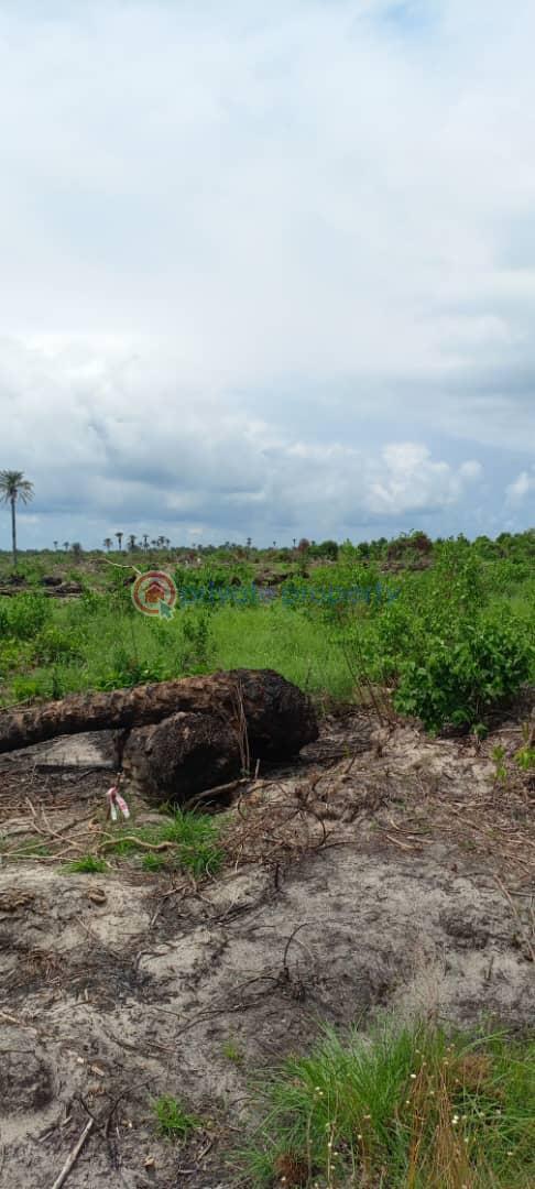 Residential Land For Sale Epe Lagos - 1