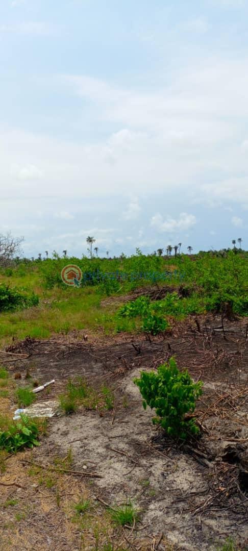 Residential Land For Sale Epe Lagos - 3
