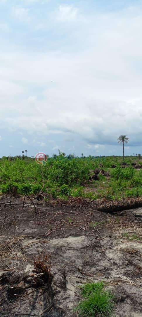 Residential Land For Sale Epe Lagos - 2