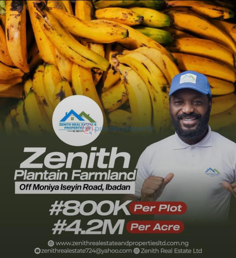 Commercial Land For Sale Ijaiye Neighborhood Ibadan Oyo - 1