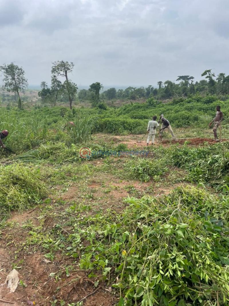 Mixed use Land For Sale Ajebo Obafemi Owode Ogun - 1