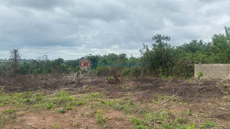 Mixed use Land For Sale Ajebo Obafemi Owode Ogun - 3