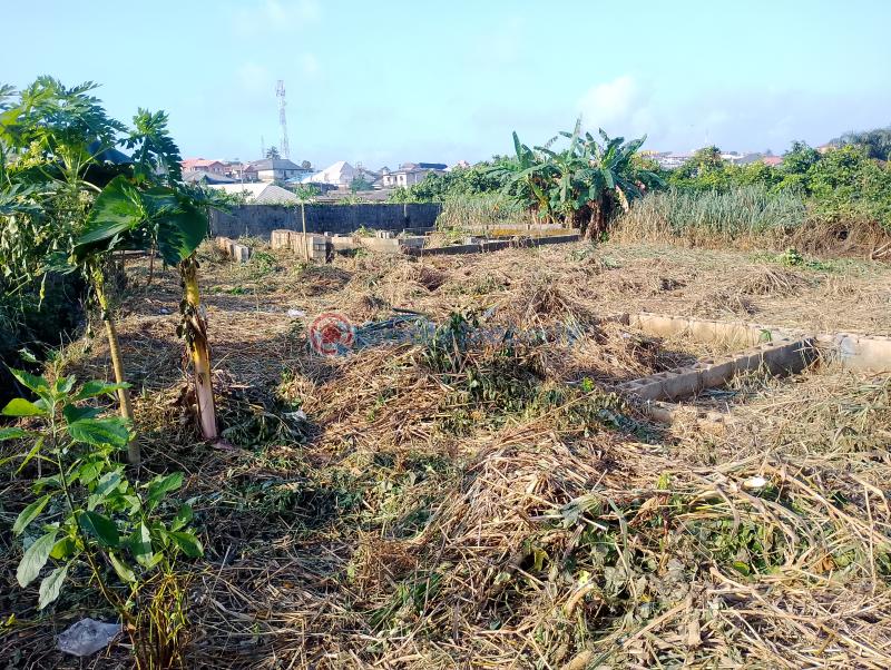 Mixed use Land For Sale Ori Okuta Estate Off Agric Isawo Road By Ori Okuta Junction Agric Ikorodu Lagos - 2