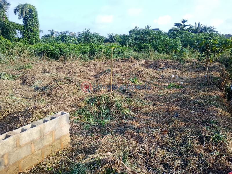 Mixed use Land For Sale Ori Okuta Estate Off Agric Isawo Road By Ori Okuta Junction Agric Ikorodu Lagos - 1
