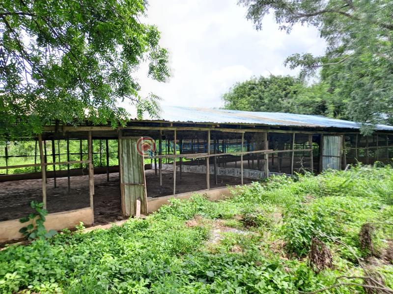 Commercial Property For Rent Omi Adio Ibadan Oyo