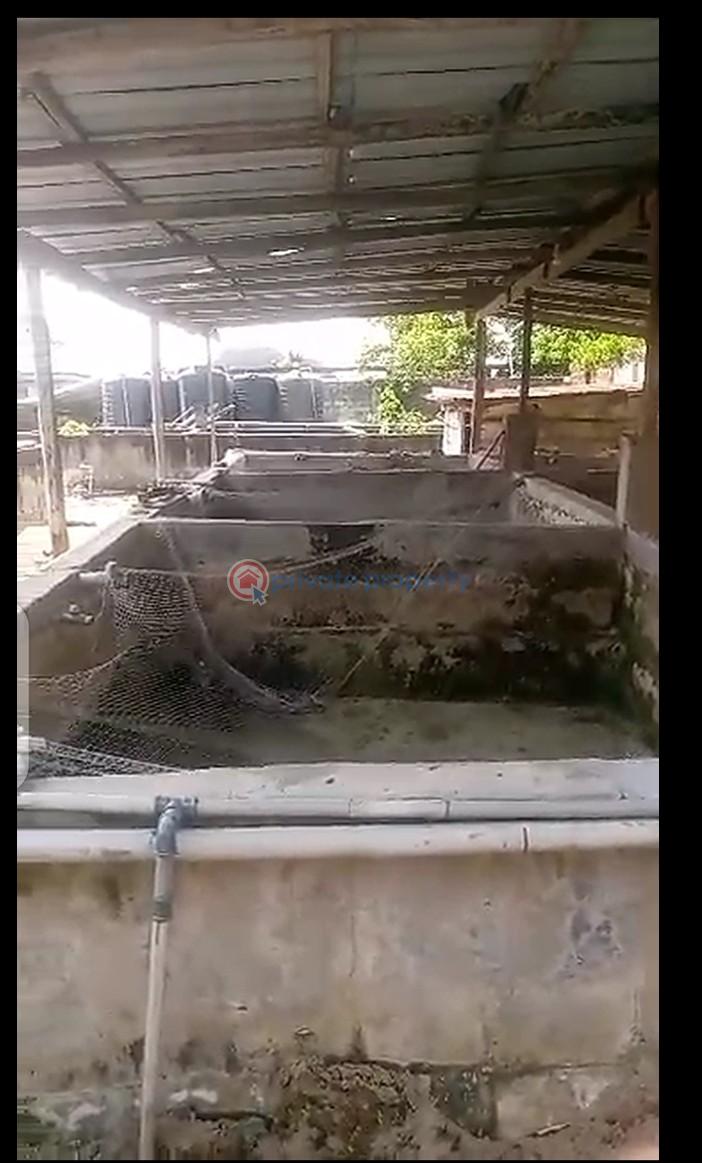 Tank Farm For Rent Uwa Eseosa Street By Zuriel Filling Station Free Trade Zone Ibeju-Lekki Lagos - 3