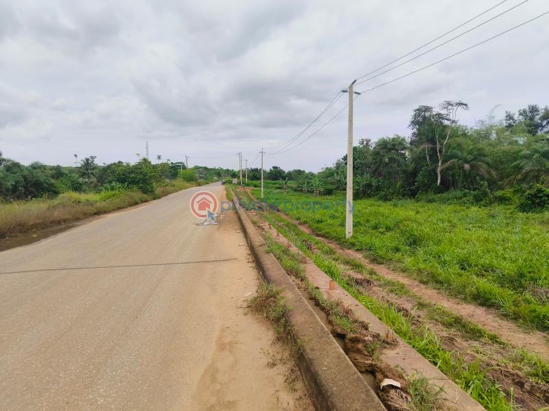 Land For Sale Directly Facing Itokin Epe Express Road Epe Lagos - 10