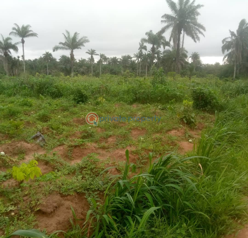 Land For Sale Directly Facing Itokin Epe Express Road Epe Lagos - 8