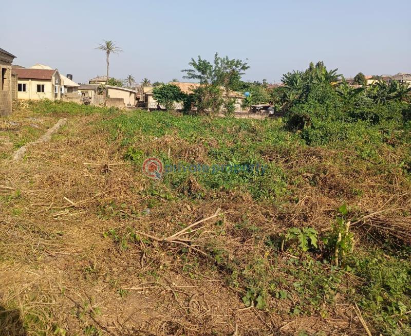 Land For Sale Omowumi Barbington Street, By Bodmas Junction, Off Kolapo Ishola/general Gas Road, Sawo/ayegoro, Akobo, Ibadan Ibadan Oyo
