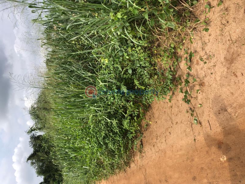 Land For Sale Along Int,l Airport Road Oshodi Lagos