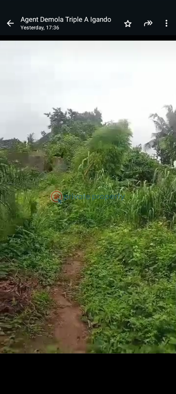 Land For Sale Igando Ikotun/Igando Lagos - 2