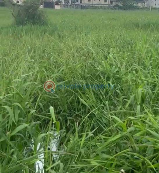 For sale 700sqm of land at opic estate berger - 2 Land For Sale Opic Estate Isheri North Ojodu Lagos - 2