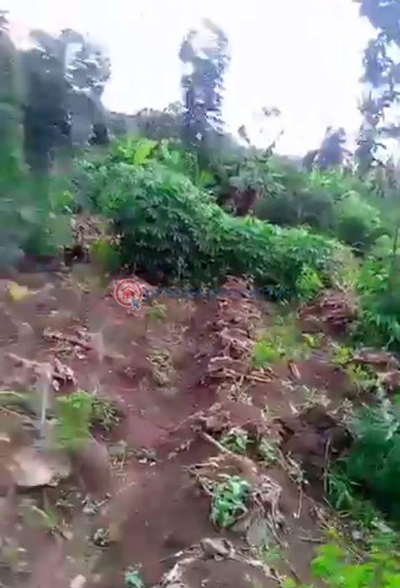 Land For Sale Igando Ikotun/Igando Lagos - 0