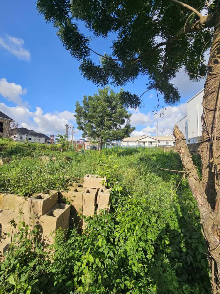 Land For Sale At Carlton Gate Estate, Akobo, Ibadan Ibadan Oyo - 1