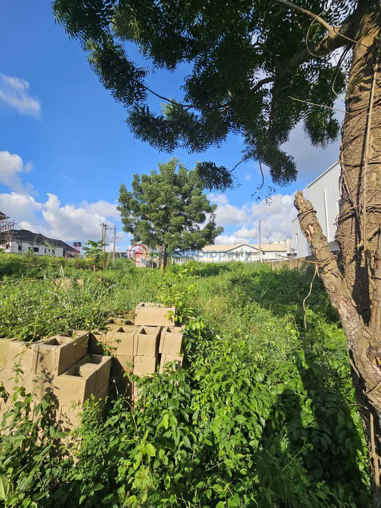 Land For Sale At Carlton Gate Estate, Akobo, Ibadan Ibadan Oyo - 2