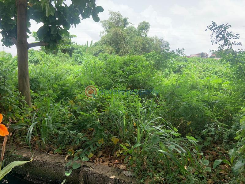 For sale Land Valley Estate Ogudu Gra Ogudu GRA Ojota Lagos (PID