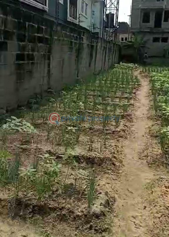 Land For Sale Ago Palace Isolo Lagos - 0