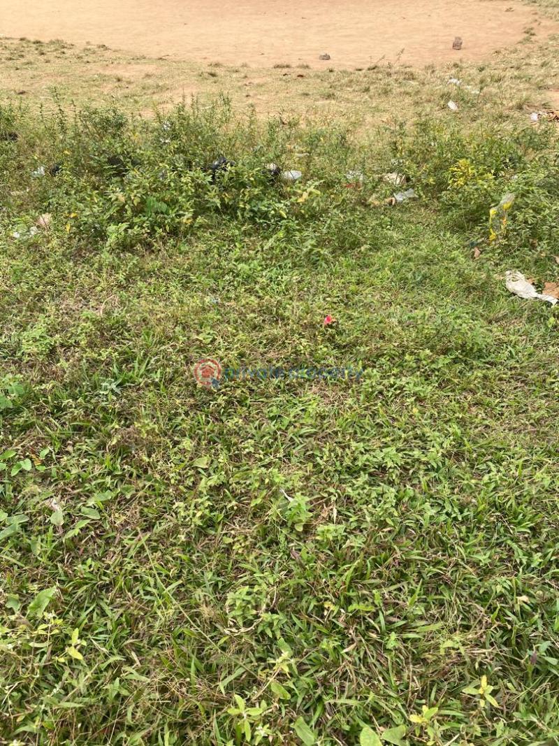 Land For Sale Ijesha Surulere Lagos