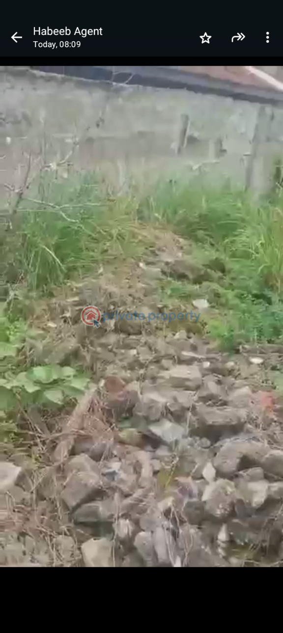 Land For Sale Western Avenue Surulere Lagos - 1