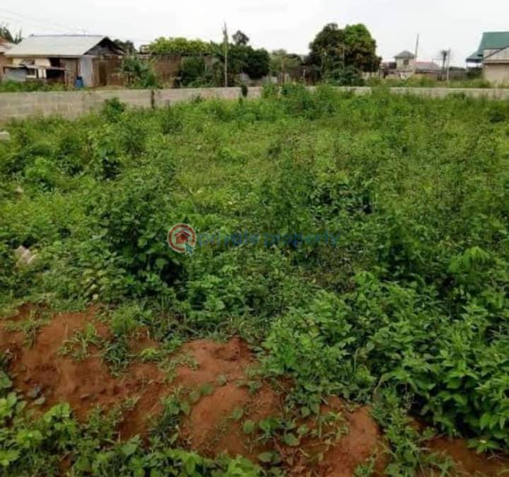 Commercial Land For Sale River View Estate Ifo Ogun
