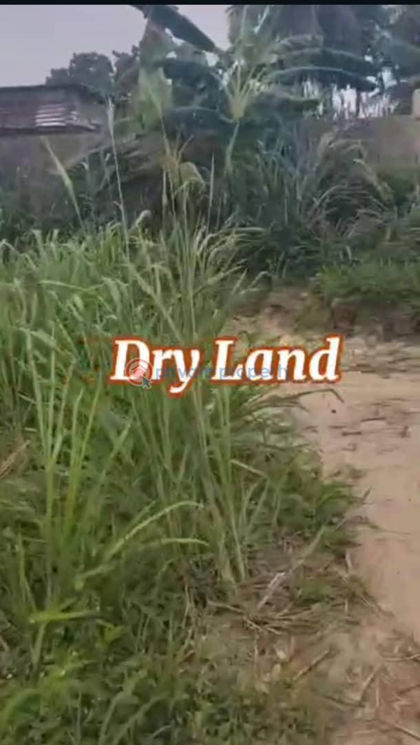 Land For Sale Odogunyan Ikorodu Lagos - 3