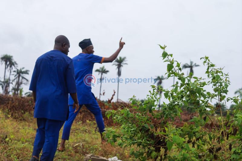 Mixed use Land For Sale Fortune Gardens Estate Ngor Okpala Ngor-Okpala Imo