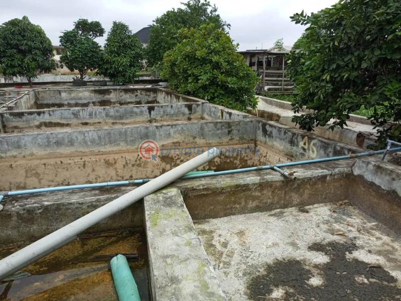 Land For Sale Alexandra Street Oko Oba Agege Lagos - 1