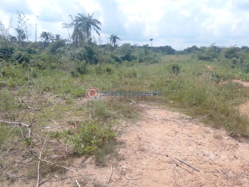 Residential Land For Sale Plethoria City Estate Igboye Close To St. David's Anglican Church Epe Lagos - 7