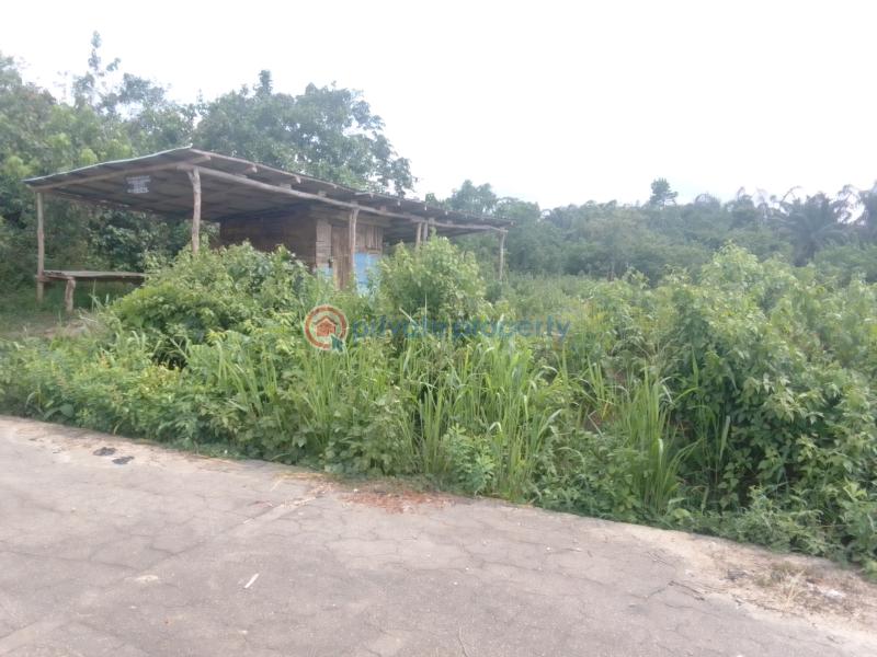 Residential Land For Sale Plethoria City Estate Igboye Close To St. David's Anglican Church Epe Lagos - 6