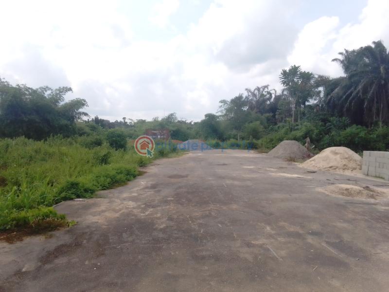Residential Land For Sale Plethoria City Estate Igboye Close To St. David's Anglican Church Epe Lagos - 5