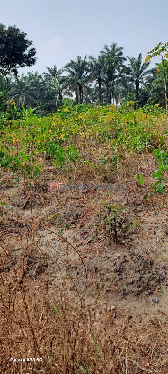 Free land - 0 Residential Land For Sale Ode Omi Ogun Waterside  - 0